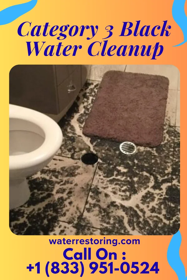Category 3 Black Water Cleanup in Medford Lakes, NJ