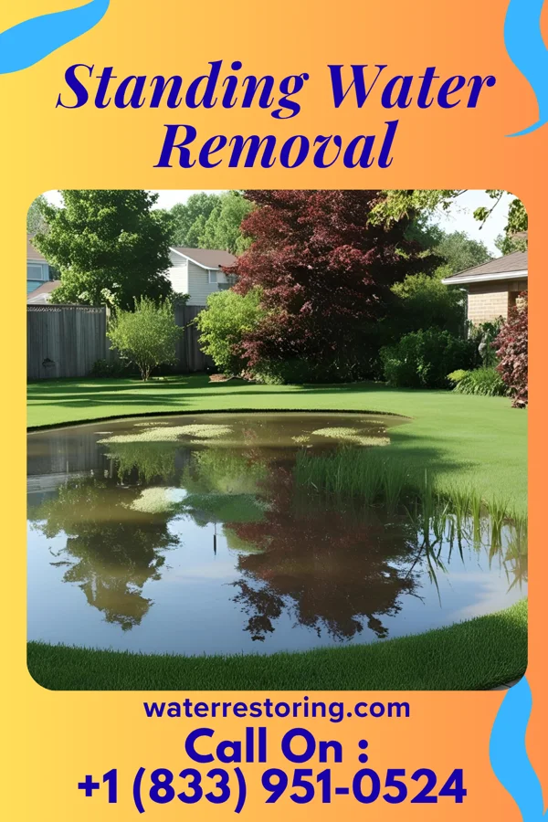 Standing Water Removal in Medford Lakes, NJ
